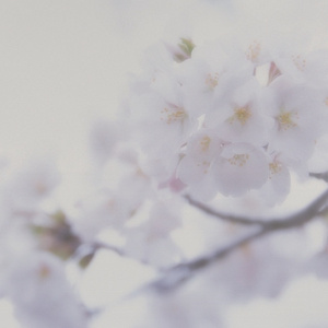 美女裸体羞羞漫画
